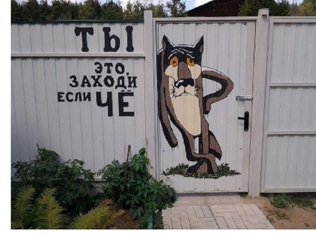 Так себе картинки 22.08.26