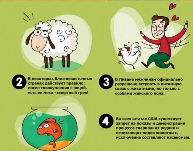 20 странных законов о сексе