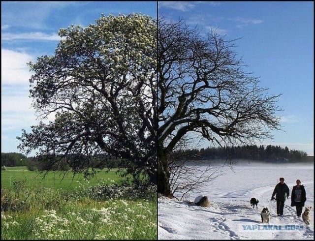 Времена года в фотографиях