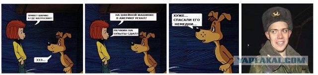 Фотожабы про спасение Барсика