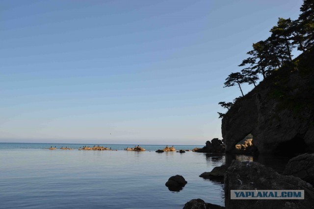 Бухта Теляковского