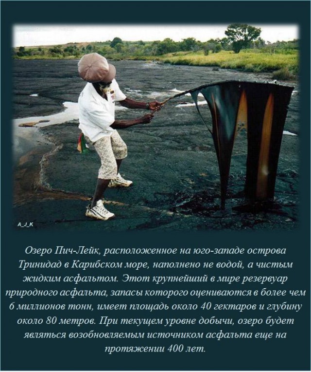 20 фактов обо всем