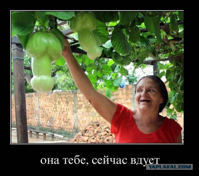 41 веселая картинка