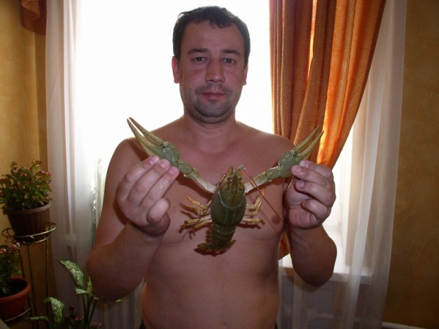 Решили мы как-то попить Пыва с раками!