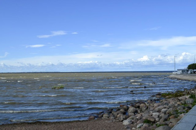 Чек из лавки в Петергофе