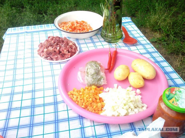 Лагман дачный