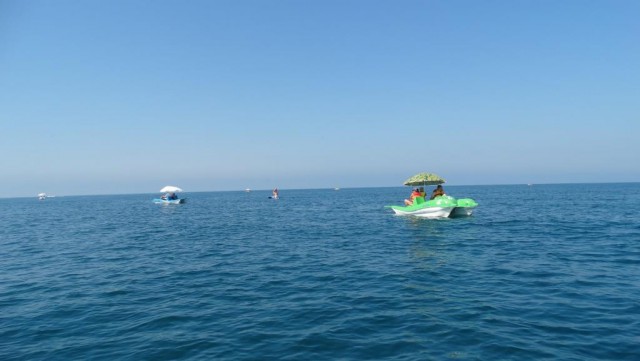 Море. Адлер.