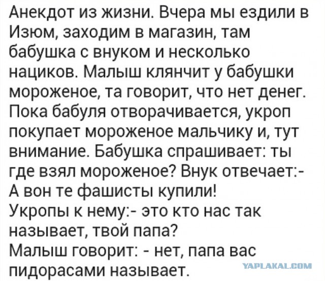 Порция картинок из сети