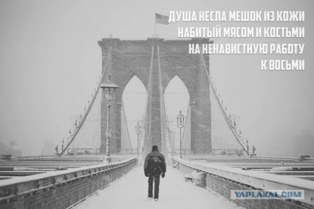 Весёлые строки
