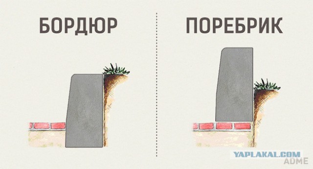 Простейшие вещи, которые мы путаем еще со школы.