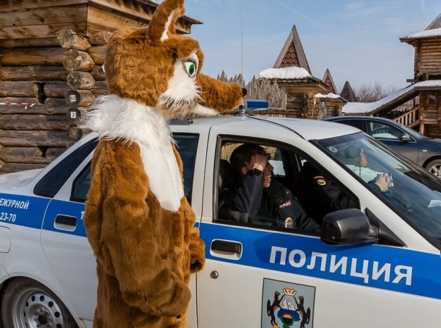 Подборка интересных и веселых картинок