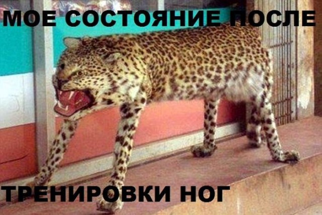 Подборка интересных и веселых картинок