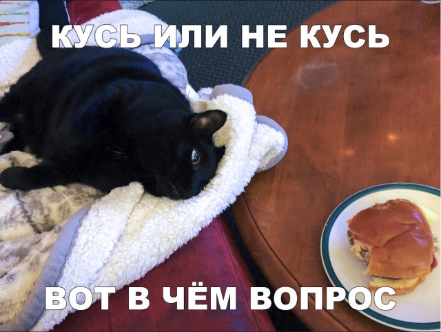 Немного милоты