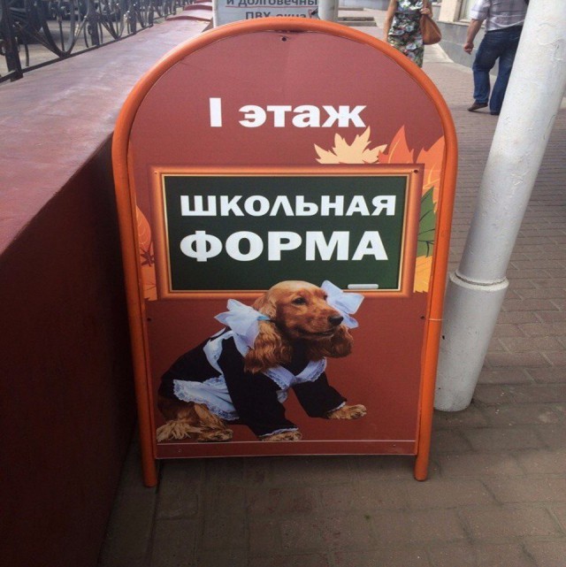 Прикольные надписи и объявления