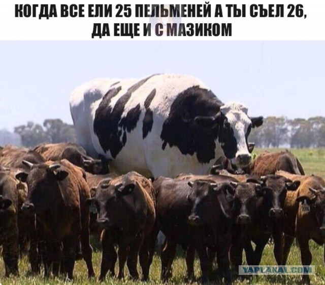 Плоский штопор деградации