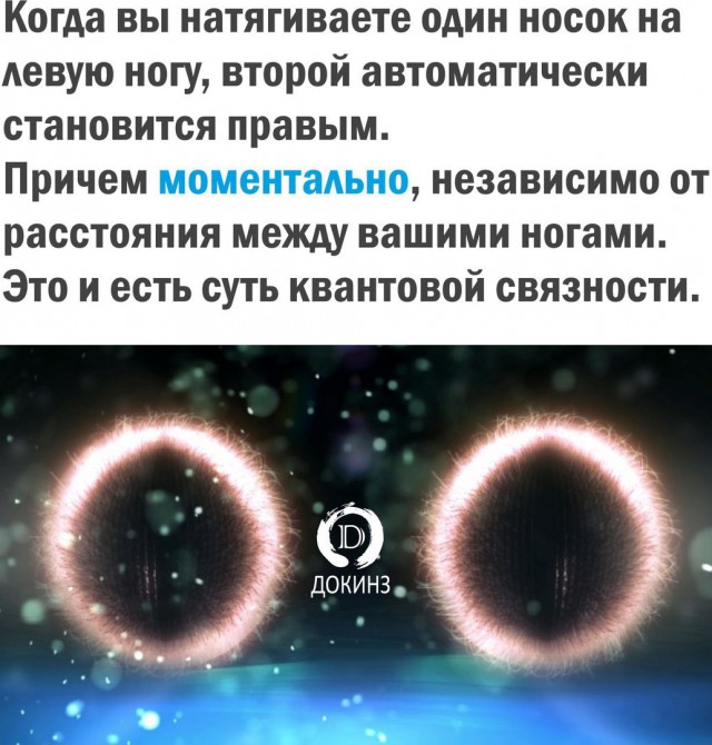 Объективной реальности не существует?