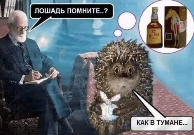 Бредзона