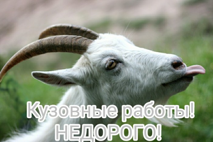 Вот хозяин авто обрадуется!