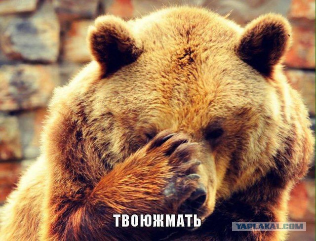 Настоящие фамилии и имена знаменитостей
