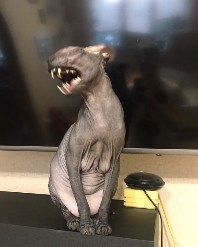 Paзнoвиднocти тьмы