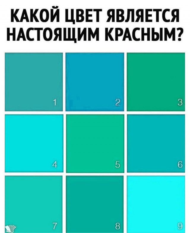 Задачка для глаз