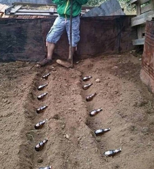Гипноклубень