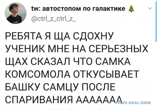 Бредзона 08.12.2020