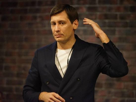 У Дмитрия Гудкова при обыске нашли патроны и снаряд для гранатомета