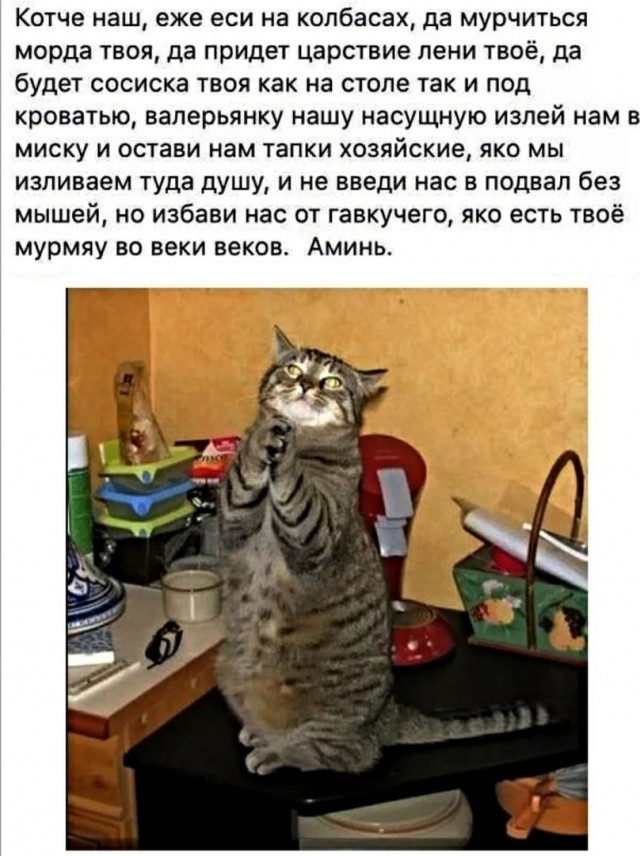 Слава богу, я безбожник #4
