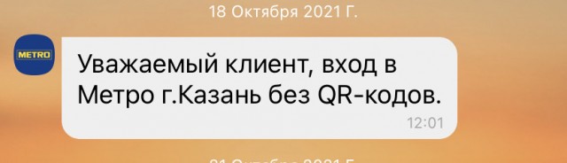 Мы здесь власть: в Нижнекамске охранник магазина пускает людей в ТЦ без QR-кода
