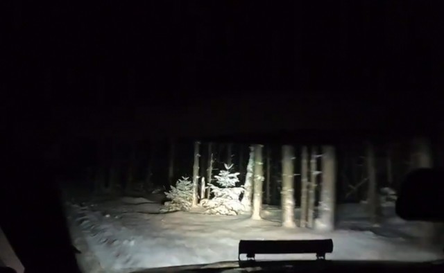 Хороший мотор, хорошая машина...
