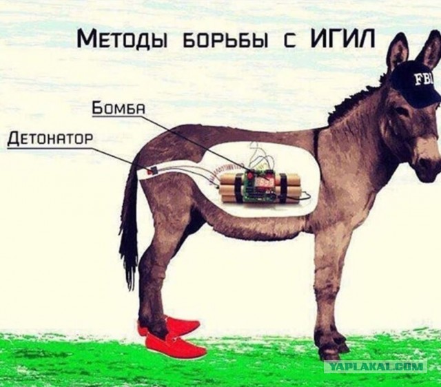 Питер. Метро. Лица без национальности
