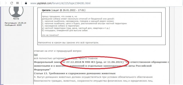 Пресс-конференция «Как решить проблему бездомных животных?». Опять все решают актеры и зоозащита