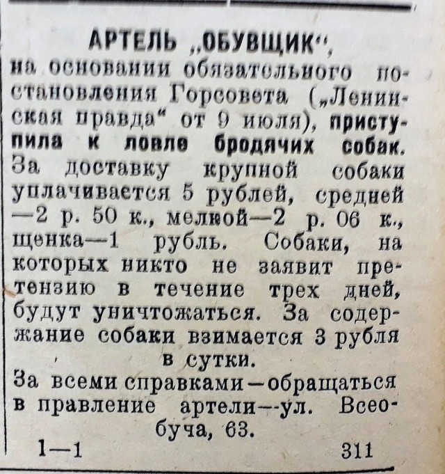 Что делать?