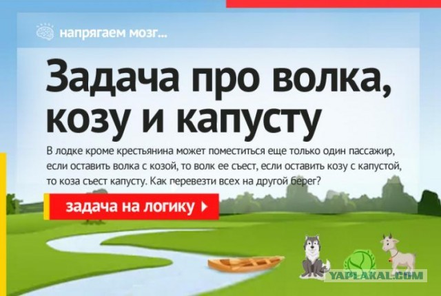 Магра волк. Волки и овцы ход свиньёй бьянка. Волк и овцы загадка. Волк мультяшный. Задача про мужика волка козу и капусту.