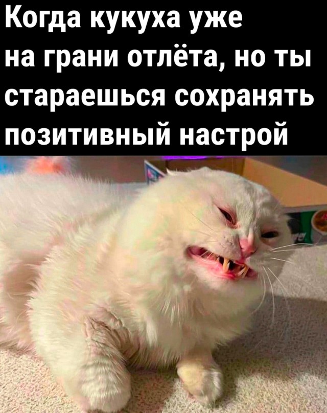 Так себе картинки 26.07.22