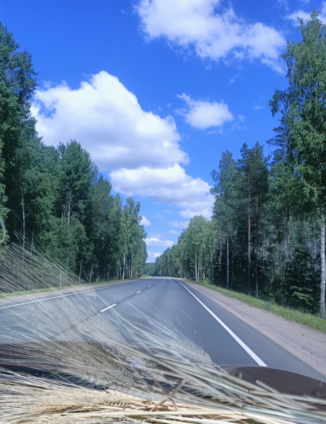 Моё увлечение