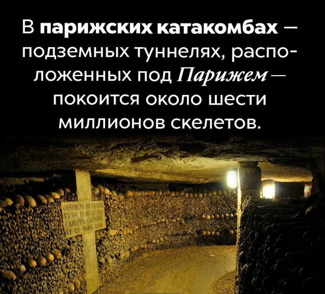 Факты. Просто факты 3