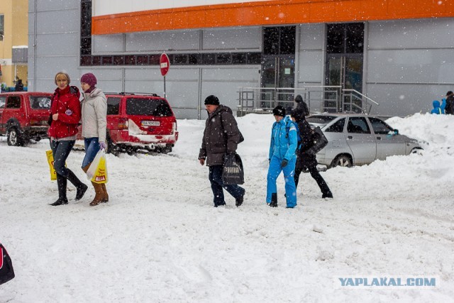 23 марта. Киев. Весна.