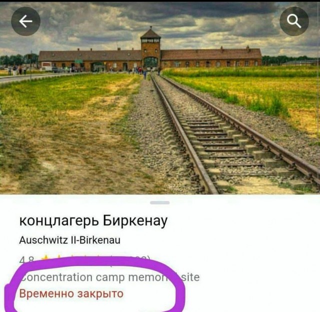 Баянисто-упоротые картинки