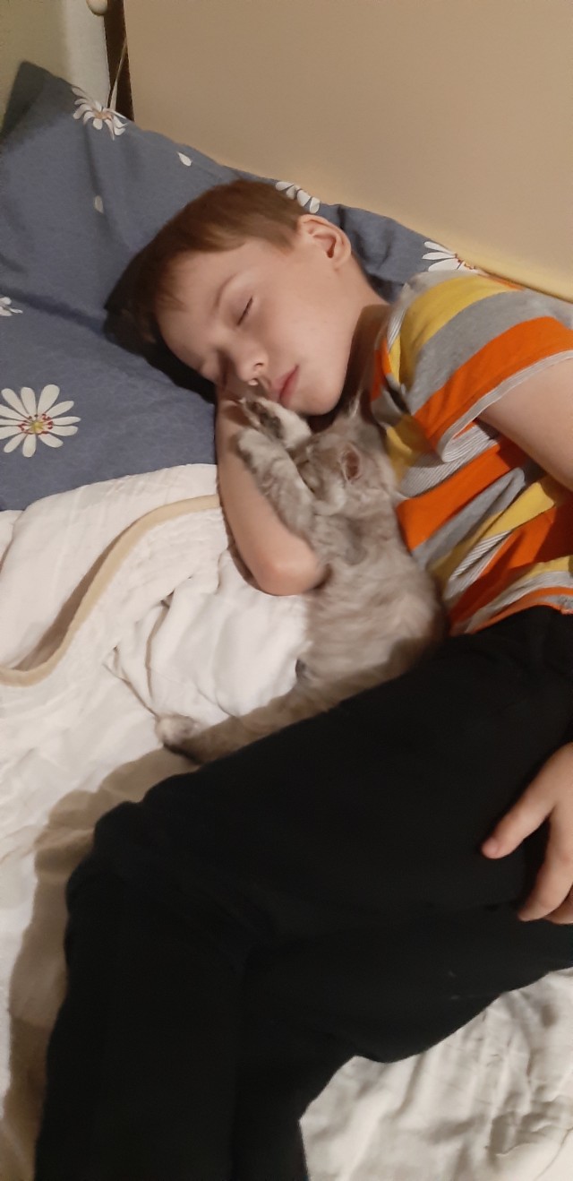 Очередной звиздец