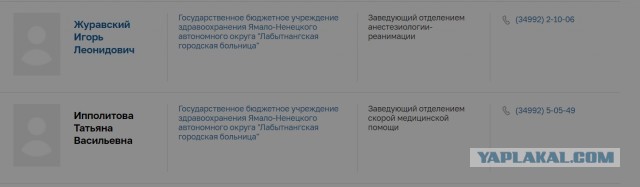 ⚡️ Алексей Навальный умер в исправительной колонии «Полярный волк» в посёлке Харп