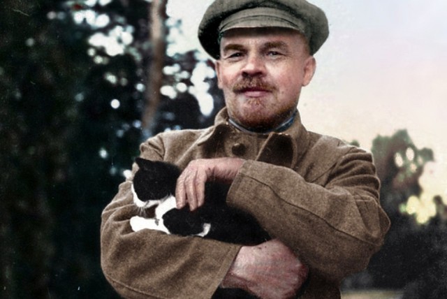 Россию сочли самой кошачьей страной мира