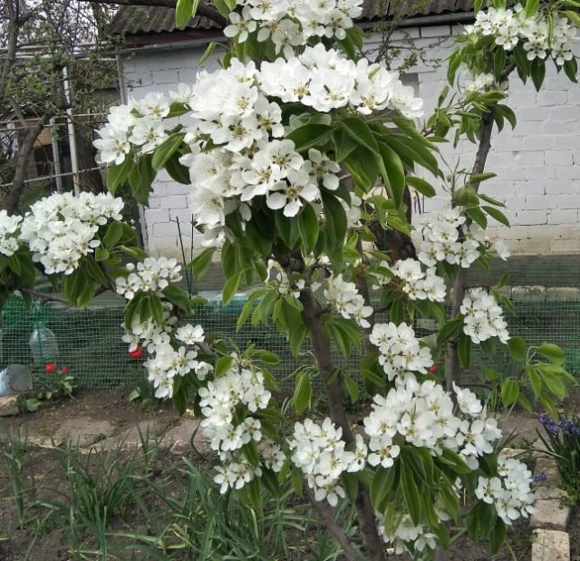 Сегодняшнее фото без затей