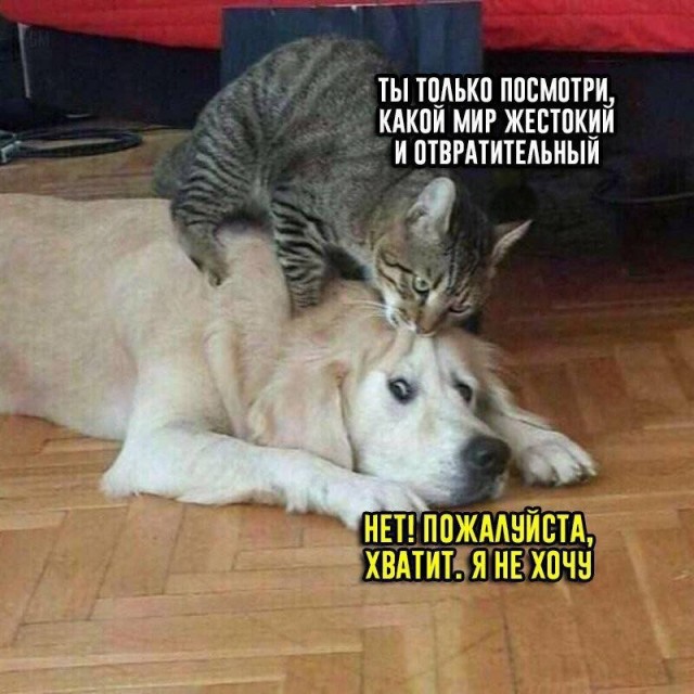 Всего понемногу. От 29.07