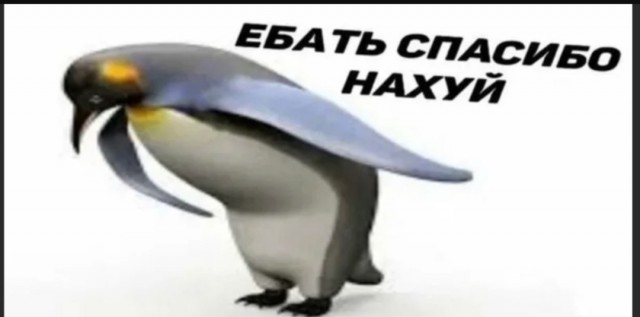 Поддержали так поддержали