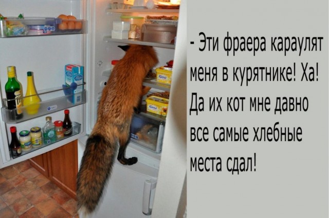 Завалялось тут случайно немного забавных картинок