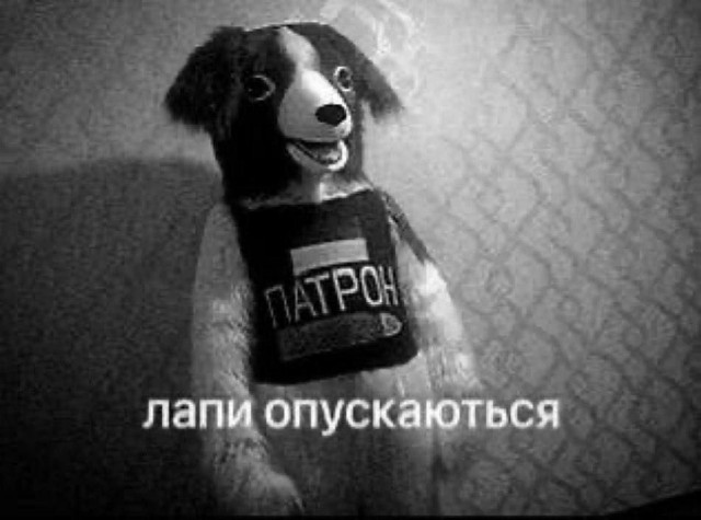 Минобороны Франции сообщило, что несколько десятков украинских военных дезертировали на учениях в стране