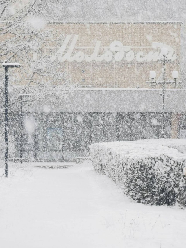 Мощный снегопад накрыл Подмосковье