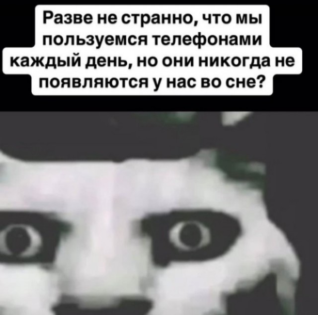 Веселые картинки в первый день июля (01.07)